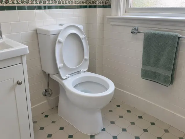 Clean white toilet in a tiled bathroom with towel rail and vanity in Leichhardt